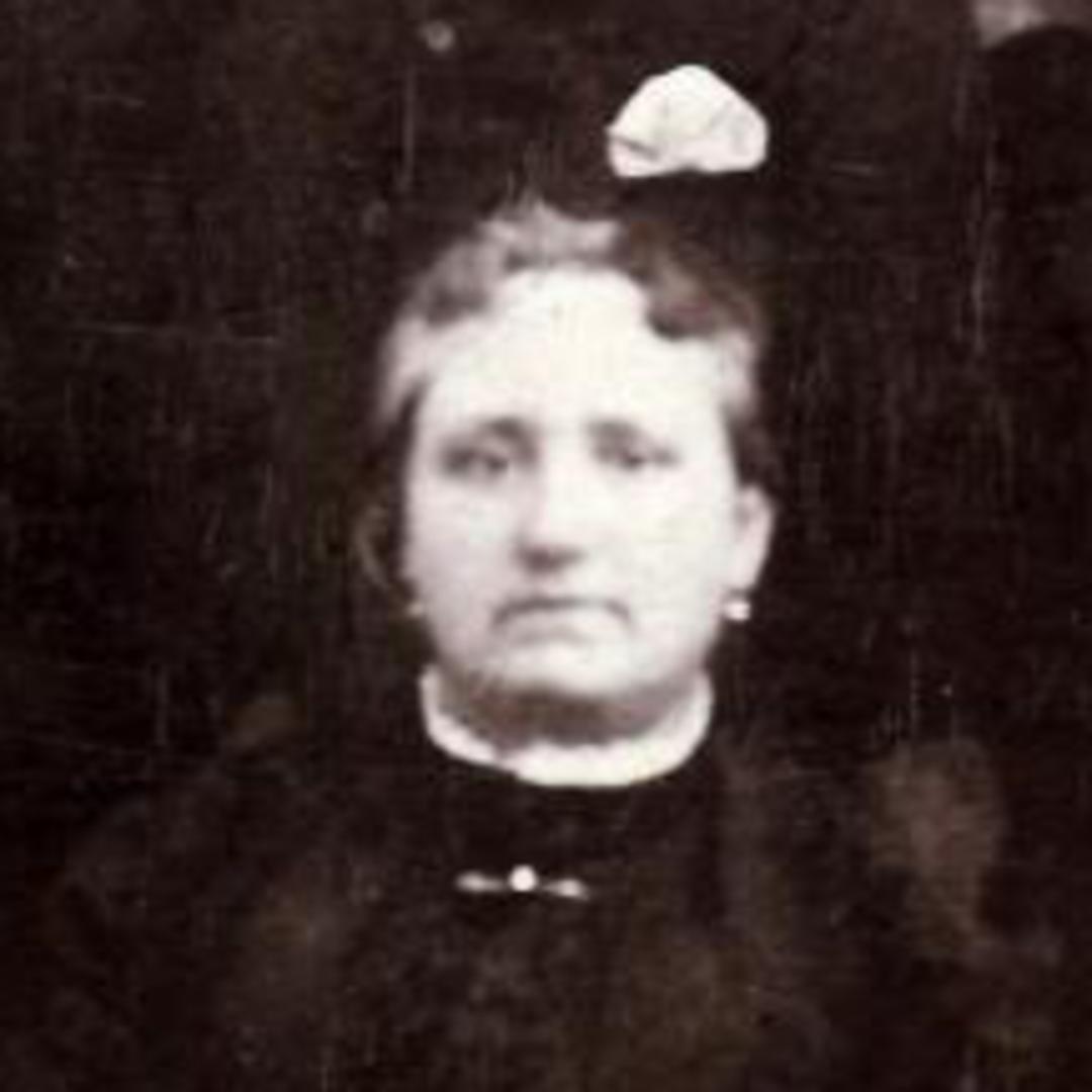 Emma Clark (1845 - 1919) Profile